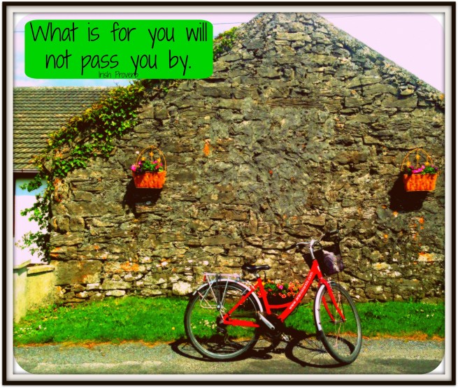 What is for you proverb